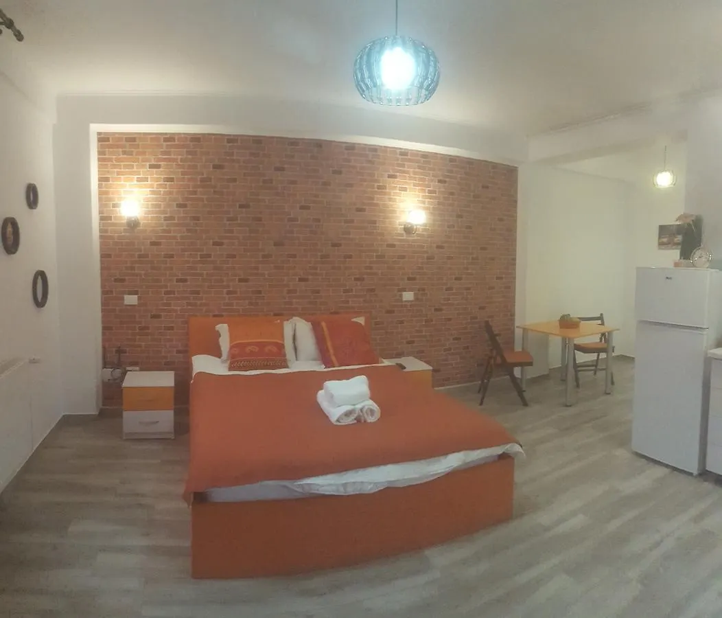 Apartment Pensiune Spital Fundeni Bucharest
