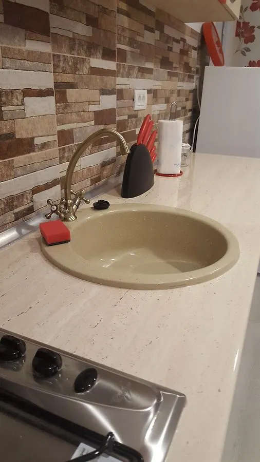 Apartment Pensiune Spital Fundeni Bucharest